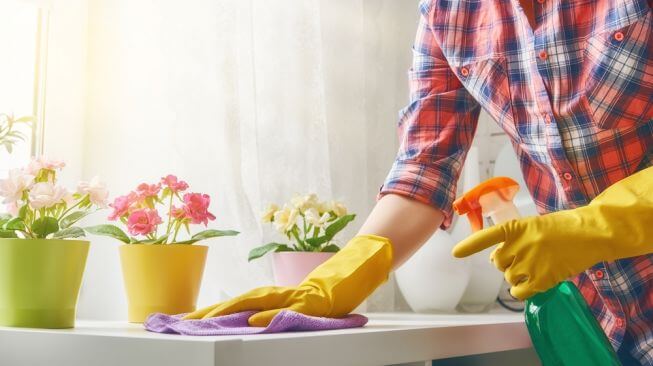 Disinfecting a table with flower pots on it